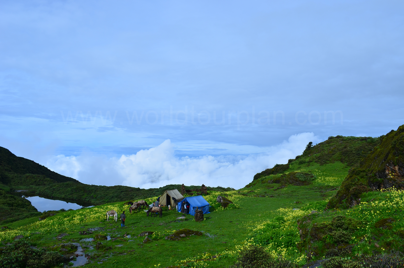 Authentic Bhutan Tour - 8 Days