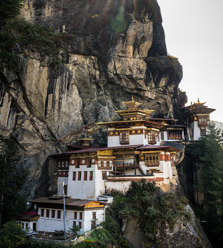 Paro